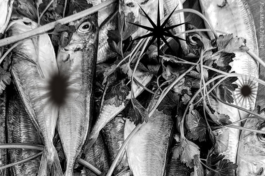 Wystawa rysunku w Galerii ms44